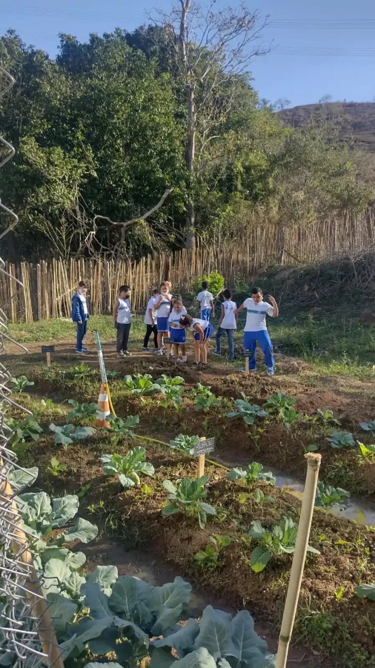 Programa Municipal de Educação Ambiental realiza diversas ações em Paracambi